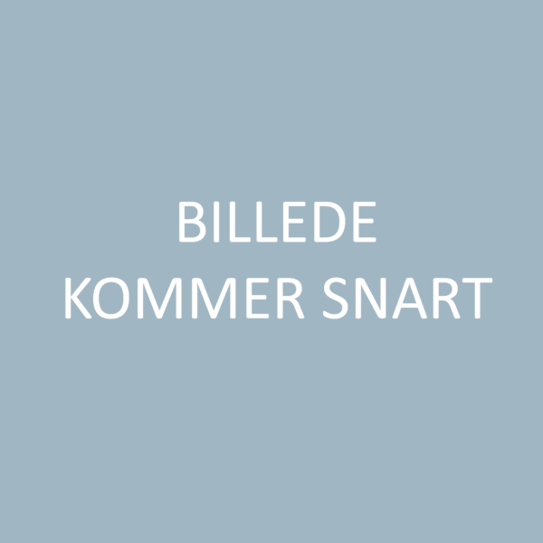 Sidsel Stoustrup